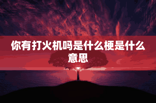 你有打火机吗是什么梗是什么意思